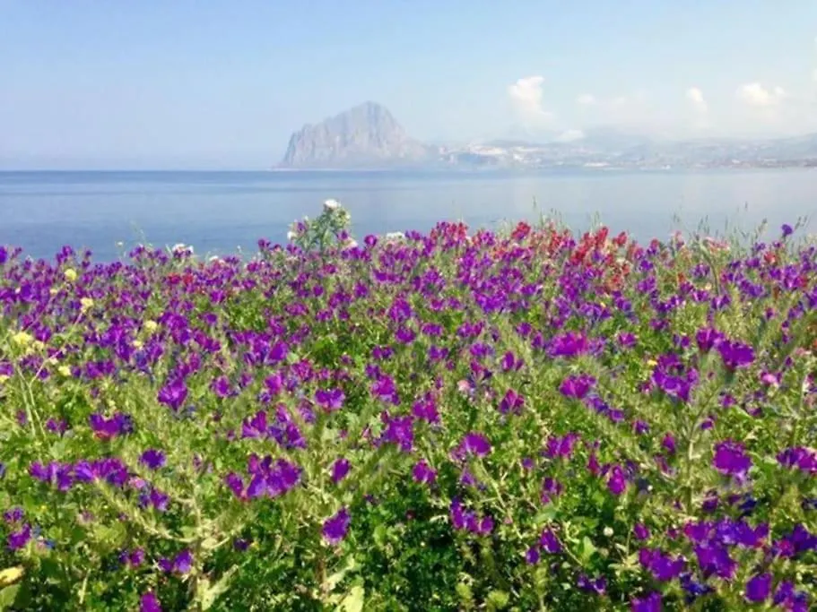 Villa Sul Golfo Di Bonagia Tonnara di Bonagia